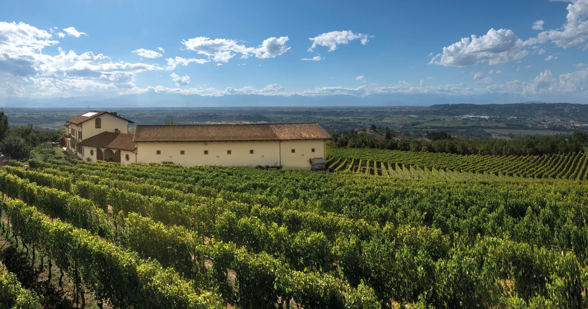 Agricola Brandini La Morra